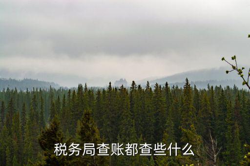 稅務局查稅一般查什么，請問一下老師一般稅務局人來查帳一般查什么的
