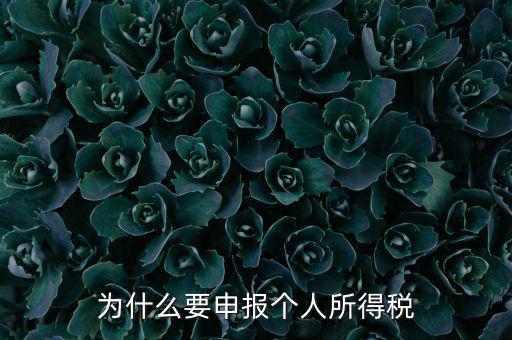 為什么要申報納稅，為什么公司老是要申報稅