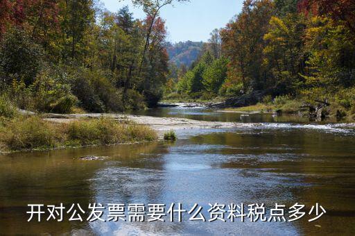 對(duì)公開票需要什么信息，公對(duì)公開發(fā)票 需要對(duì)方什么信息