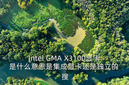 國稅集成理念是什么意思，Intel GMA X3100顯卡 是什么意思是集成顯卡還是獨(dú)立的  搜