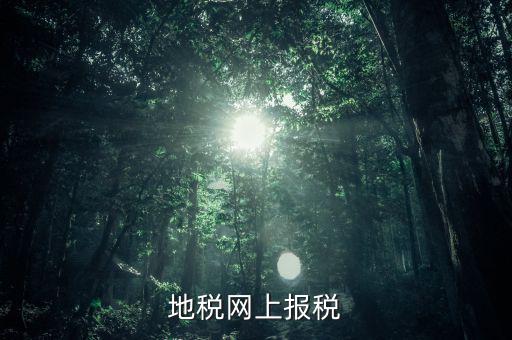 地稅網(wǎng)上需要報什么稅，網(wǎng)上報稅地稅國稅各有哪些稅種