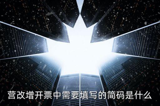 營(yíng)改增開(kāi)票中需要填寫的簡(jiǎn)碼是什么