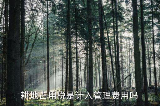 耕地占用稅是什么意思，耕地占用稅是計入管理費(fèi)用嗎