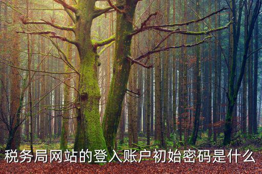 浙江國(guó)稅登入密碼是什么，稅務(wù)局網(wǎng)站的登入賬戶(hù)初始密碼是什么