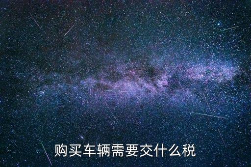 車輛納稅需要什么，汽車交稅需要帶什么
