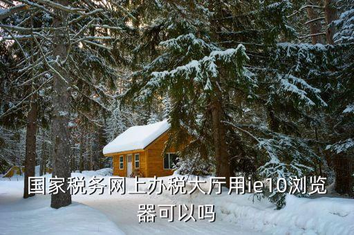 國稅用什么瀏覽器，山東國稅網(wǎng)上申報系統(tǒng)需要什么瀏覽器
