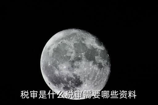 什么是大企業(yè)稅務(wù)審計(jì)，審計(jì)和稅務(wù)