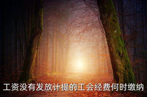 工會(huì)經(jīng)費(fèi)一般什么時(shí)候交，工資沒有發(fā)放計(jì)提的工會(huì)經(jīng)費(fèi)何時(shí)繳納