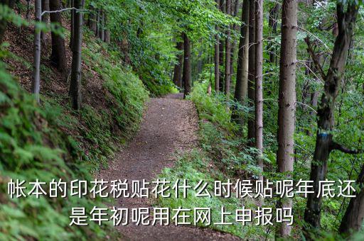 帳本的印花稅貼花什么時候貼呢年底還是年初呢用在網上申報嗎