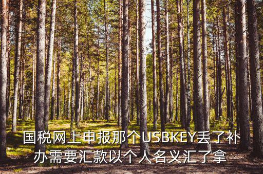 稅務(wù)ukey是什么意思，國(guó)稅網(wǎng)上申報(bào)那個(gè)USBKEY丟了補(bǔ)辦需要匯款以個(gè)人名義匯了拿