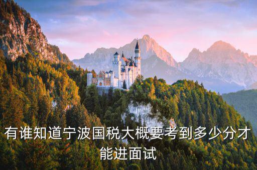 國稅 要求什么素質(zhì)，國稅公務員面試