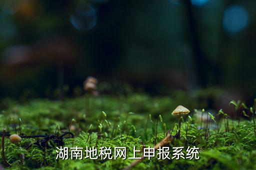 湖南省的地稅報稅軟件是什么，湖南地稅網(wǎng)上申報系統(tǒng)