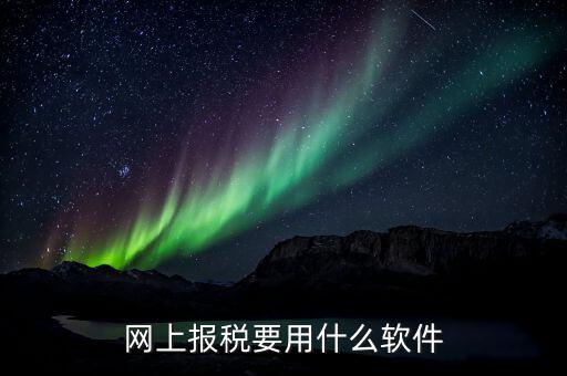 納稅申報的軟件是什么，申報軟件是什么
