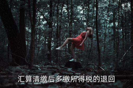 匯算清繳多繳稅款什么時候退，企業(yè)所得稅匯算清繳退款什么時候到賬