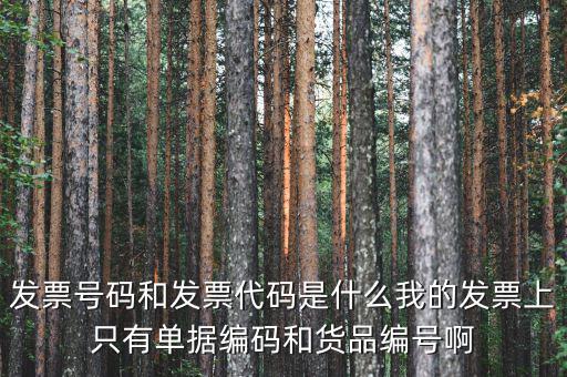 發(fā)票代碼和發(fā)票號(hào)碼是什么，發(fā)票代碼和發(fā)票號(hào)碼有什么用