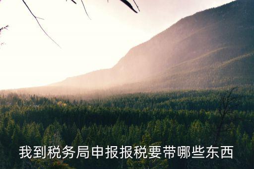 去ems申報(bào)稅務(wù)需要帶什么區(qū)別，我到稅務(wù)局申報(bào)報(bào)稅要帶哪些東西