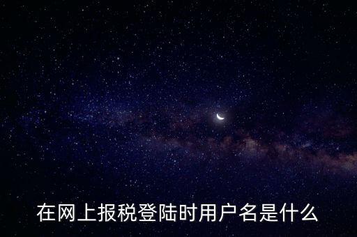 在網上報稅登陸時用戶名是什么