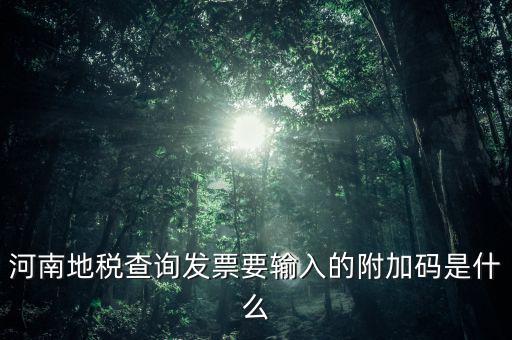 河南發(fā)票密碼是什么樣的，河南地稅查詢發(fā)票要輸入的附加碼是什么