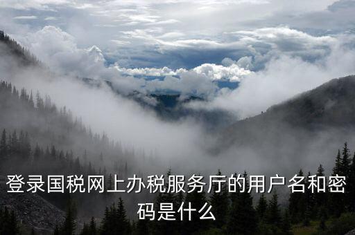 電子稅務(wù)局登陸用戶名是什么，登錄國(guó)稅網(wǎng)上辦稅服務(wù)廳的用戶名和密碼是什么