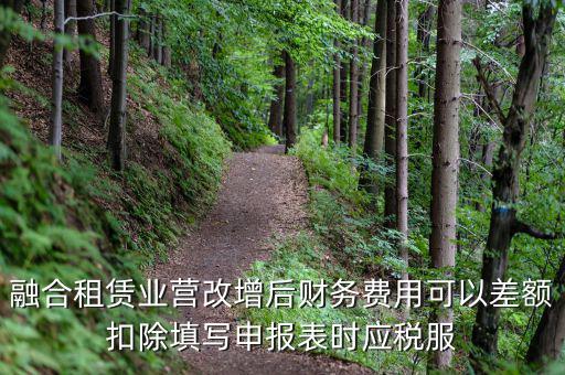 應(yīng)稅服務(wù)扣除項(xiàng)目清單干什么用，應(yīng)稅服務(wù)扣除項(xiàng)目清單中允許扣除項(xiàng)目金額指的是什么是總