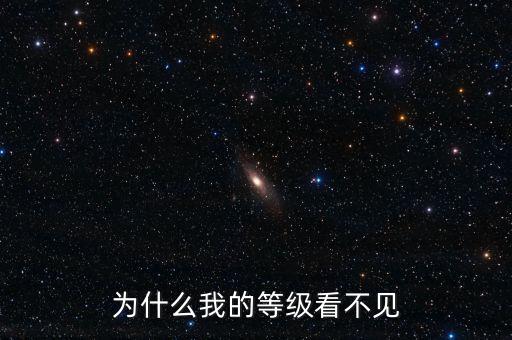 為什么無(wú)法查詢到納稅等級(jí)，為什么我的等級(jí)看不見