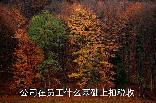 什么是稅收基礎(chǔ)工作，問個問題稅務(wù)基本建設(shè) 是個什么崗位