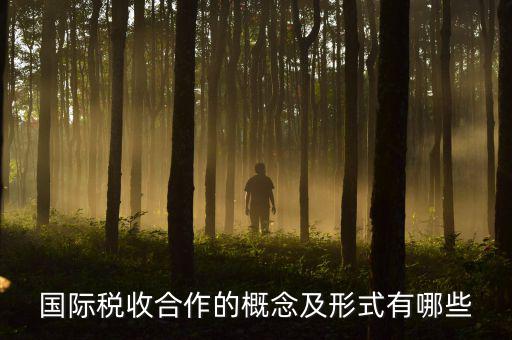 國(guó)際稅源是什么意思，國(guó)際稅收合作的概念及形式有哪些