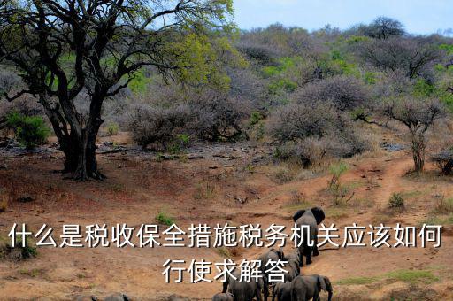 稅務(wù)局四個(gè)確保是什么，如何加強(qiáng)稅務(wù)稽查工作的幾點(diǎn)思考