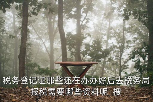 新辦企業(yè)稅務(wù)局需要什么資料，稅務(wù)登記證那些還在辦辦好后去稅務(wù)局報(bào)稅需要哪些資料呢  搜