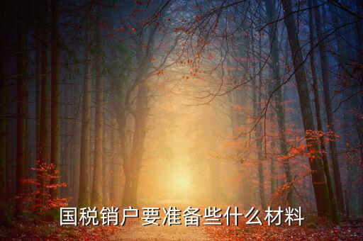 去國稅銷戶需要帶什么資料，國稅注銷需要哪些材料