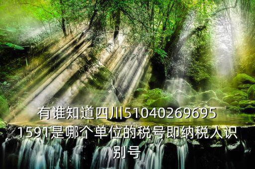 四川國(guó)稅廳帳號(hào)是什么，有誰(shuí)知道四川510402696951591是哪個(gè)單位的稅號(hào)即納稅人識(shí)別號(hào)