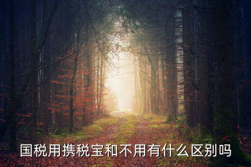 稅寶是什么，國(guó)稅用攜稅寶和不用有什么區(qū)別嗎