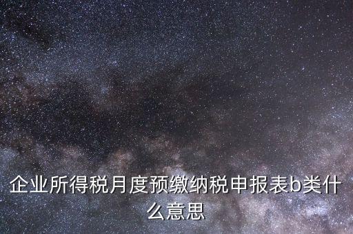 企業(yè)所得稅月度預繳納稅申報表b類什么意思