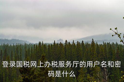 登錄國稅網上辦稅服務廳的用戶名和密碼是什么