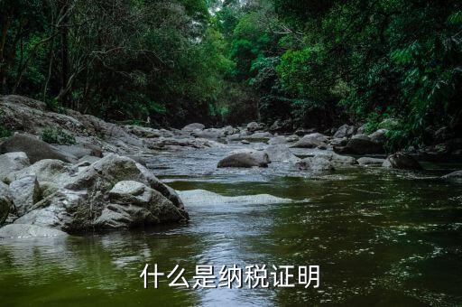 納稅居民身份證明是什么，報稅時外籍人員的身份證明是什么