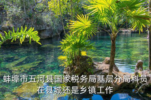 懷遠(yuǎn)稅務(wù)局在什么地方，蚌埠市五河縣國家稅務(wù)局基層分局科員在縣城還是鄉(xiāng)鎮(zhèn)工作