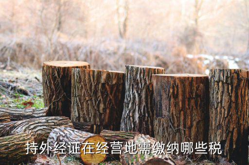 江蘇企業(yè)開(kāi)外經(jīng)證要交什么稅，持外經(jīng)證在經(jīng)營(yíng)地需繳納哪些稅
