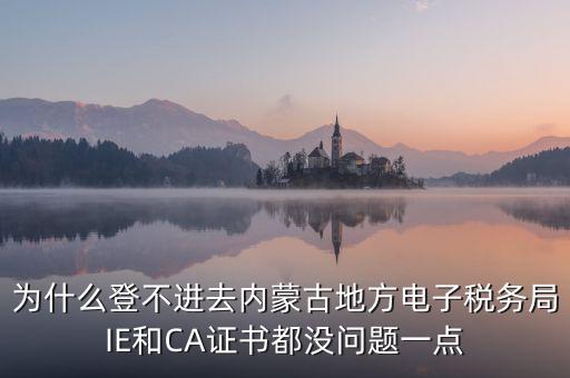 為什么電子稅務(wù)局登錄不了，山西省電子稅務(wù)局在電腦上登陸不上為啥呢