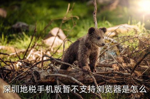 深圳國稅網(wǎng)站用什么瀏覽器打開，國稅網(wǎng)為什么看不到增值稅申報表平時一打開這個頁面就可以點擊看