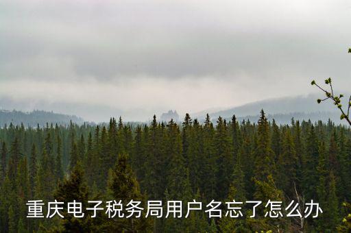 重慶電子稅務(wù)局的網(wǎng)址是什么意思，重慶市國稅電子申報委托繳稅的網(wǎng)址