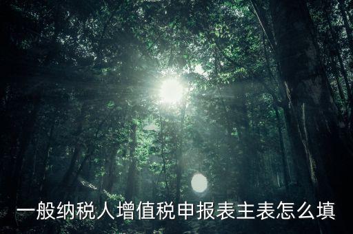 一般納稅人主表是什么，一般納稅人增值稅申報(bào)表主表怎么填