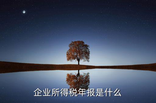 企業(yè)所得稅年度申報(bào)有什么用，企業(yè)所得稅按季申報(bào)和年度申報(bào)有什么區(qū)別