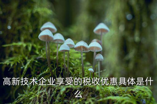 高新技術企業(yè)享受的稅收優(yōu)惠具體是什么