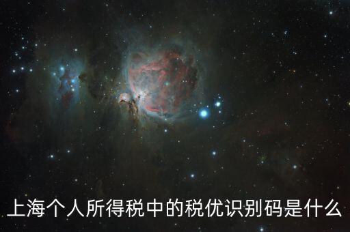 稅優(yōu)碼什么樣子，保險稅優(yōu)識別碼是什么樣的