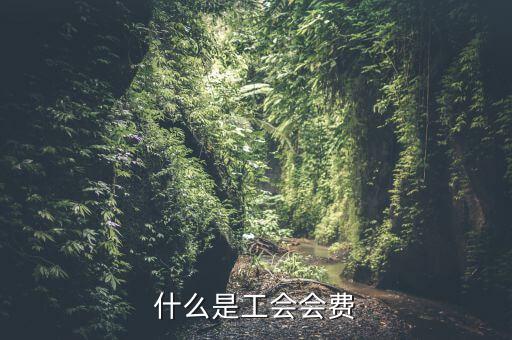 什么企業(yè)交工會(huì)經(jīng)費(fèi)，繳工會(huì)經(jīng)費(fèi)的依據(jù)是什么