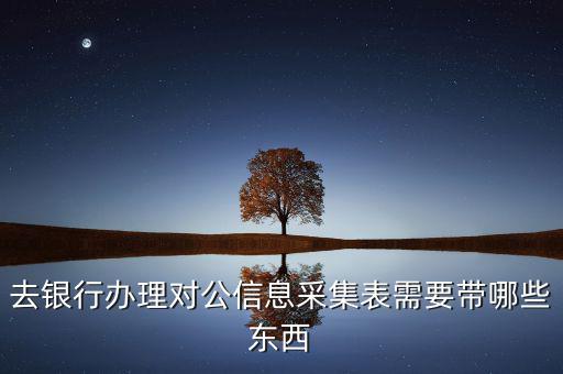 廣東實(shí)名信息采集需要什么資料，去銀行辦理對(duì)公信息采集表需要帶哪些東西