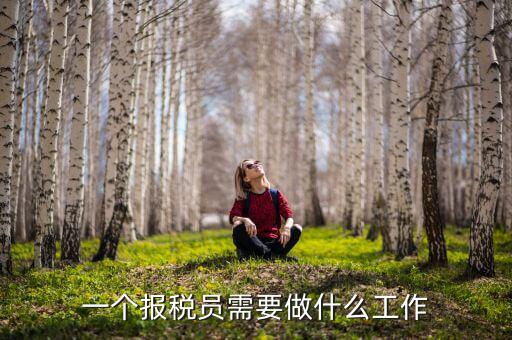 導(dǎo)稅員主要做什么，一個報稅員需要做什么工作