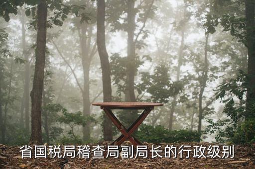湖南稽查局長什么級別，湖南廣電局紀檢組長是什么級別