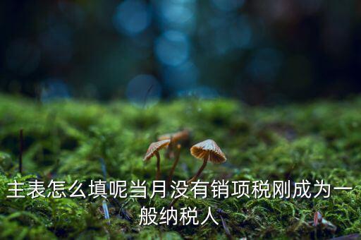 一般納稅人主表是什么意思，一般納稅人申報(bào)表主表的申明人必須輸入是什么意思