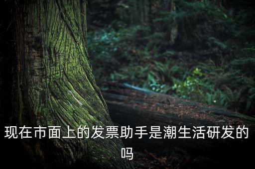 國(guó)稅發(fā)票助手是干什么的，現(xiàn)在市面上的發(fā)票助手是潮生活研發(fā)的嗎